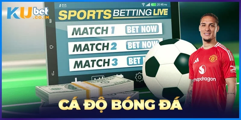 Cá Độ Bóng Đá